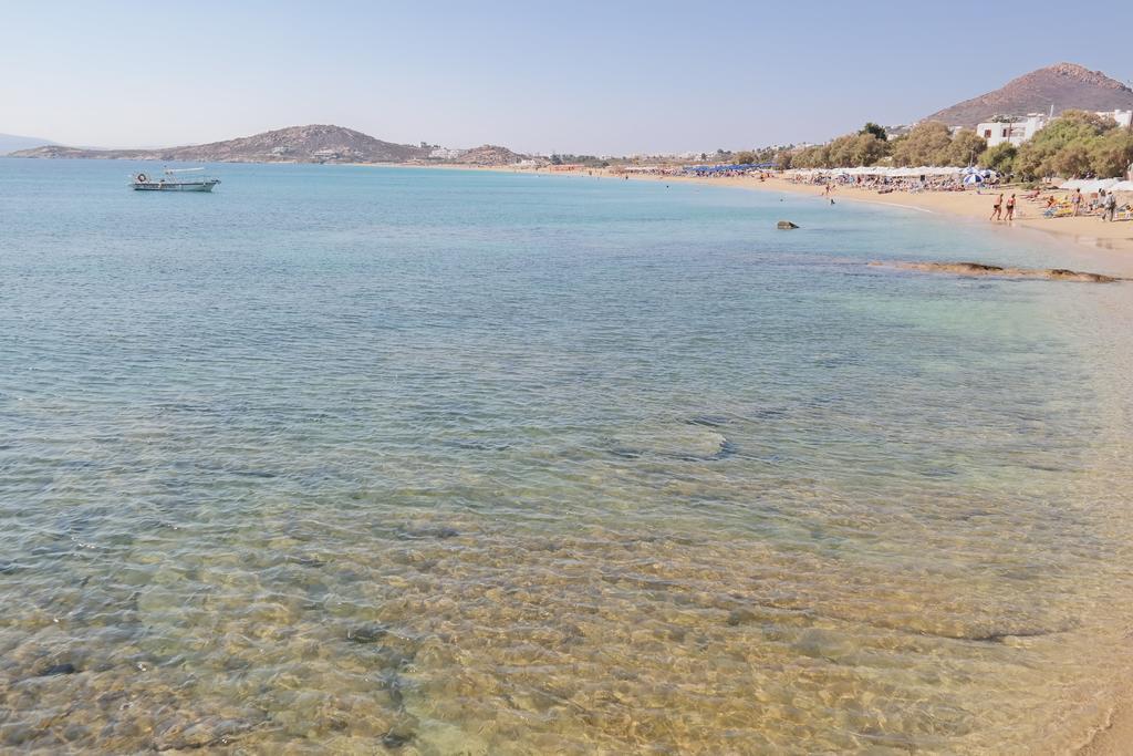 Katerina Babis Studios Agios Prokopios  Oda fotoğraf